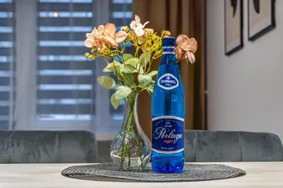 Napoje w obiekcie Apartament w centrum II, PW INVEST HOME