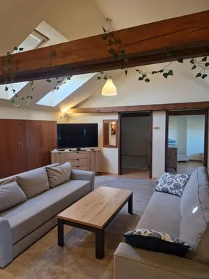 Telewizja i/lub zestaw kina domowego w obiekcie Noclegi Opole-Chmielowice Apartament C