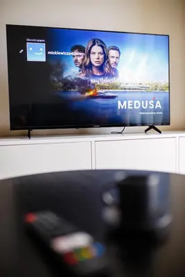 Telewizja i/lub zestaw kina domowego w obiekcie ONE Apartament WROCŁAW