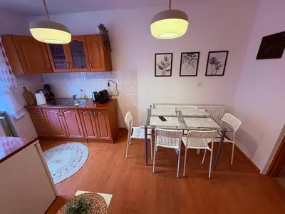 Kuchnia lub aneks kuchenny w obiekcie Apartament Złota Woda