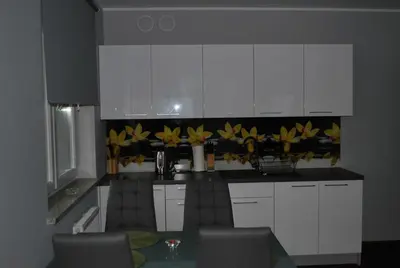 Kuchnia lub aneks kuchenny w obiekcie Apartament Zwyciezcow