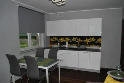 Kuchnia lub aneks kuchenny w obiekcie Apartament Zwyciezcow