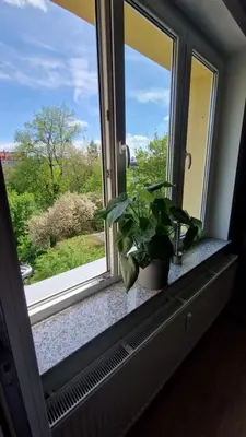 Ogród w obiekcie Apart Krakowska 41
