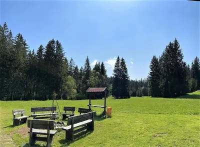 Przyroda w pobliżu tego pensjonatu