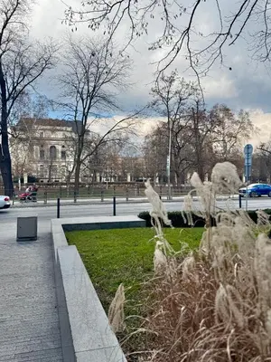 Przyroda w pobliżu tego apartamentu