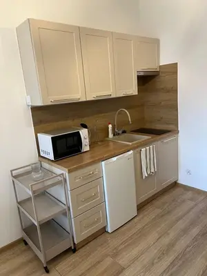 Kuchnia lub aneks kuchenny w obiekcie Apartament Kaszmir