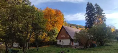 Przyroda w pobliżu tego apartamentu