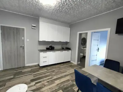 Kuchnia lub aneks kuchenny w obiekcie 722 Slate Apartament Jedlina-Zdrój