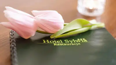 Certyfikat, podpis lub inny dokument wystawiony w obiekcie Hotel Sylwia
