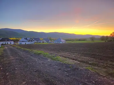 Przyroda w pobliżu tego domu w stylu alpejskim