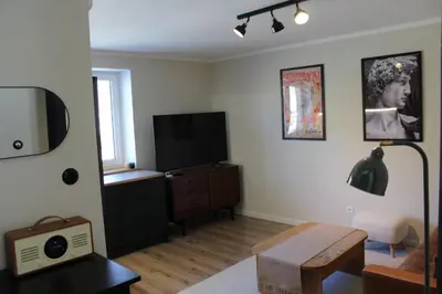 Telewizja i/lub zestaw kina domowego w obiekcie Leśne Szlaki AP Apartment's