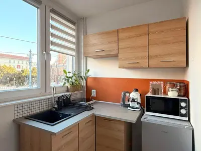 Kuchnia lub aneks kuchenny w obiekcie Szewska, HARLEM APART