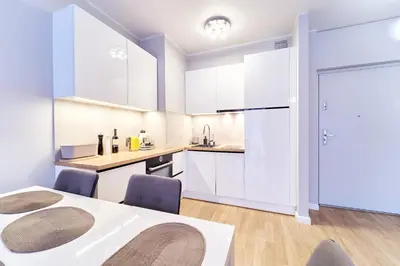 Kuchnia lub aneks kuchenny w obiekcie LAGUNA Apartament Przestronny Willa Maria 19