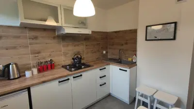 Kuchnia lub aneks kuchenny w obiekcie Apartament KOREK