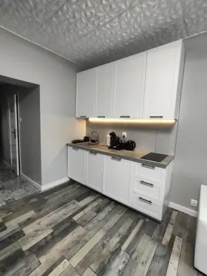 Kuchnia lub aneks kuchenny w obiekcie 721 Slate Apartament Jedlina-Zdrój