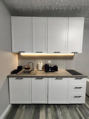 Kuchnia lub aneks kuchenny w obiekcie 721 Slate Apartament Jedlina-Zdrój