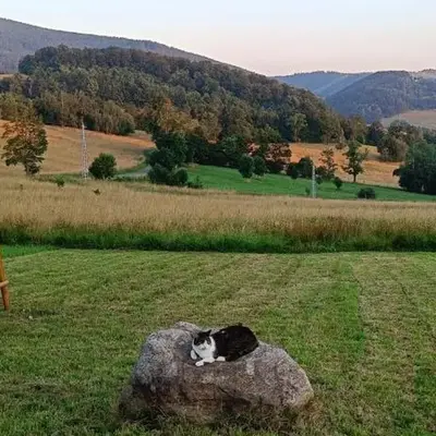 Wzgórze Jasia