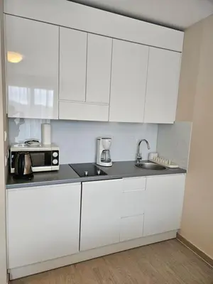 Kuchnia lub aneks kuchenny w obiekcie Czarna Góra Resort, Apartament z widokiem na góry, Stubai