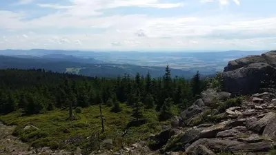 Przyroda w pobliżu tego apartamentu
