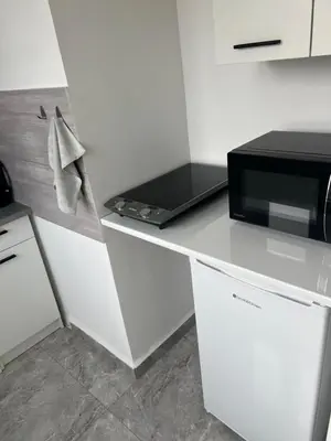 Kuchnia lub aneks kuchenny w obiekcie Kawalerka Młodych Patriotów