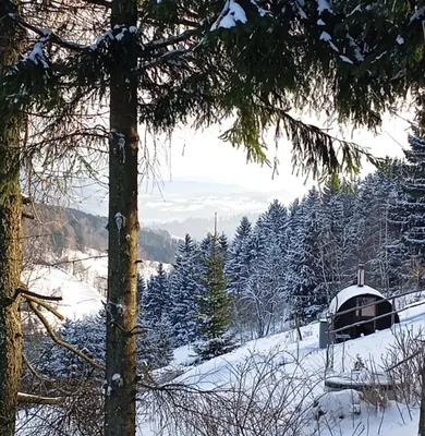 Przyroda w pobliżu tego domu wakacyjnego