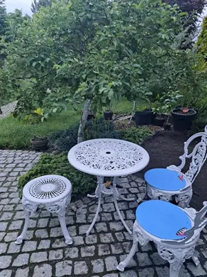 Ogród w obiekcie Pokój w domu z oranżerią i śniadaniem
