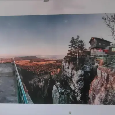 Apartament Wolności
