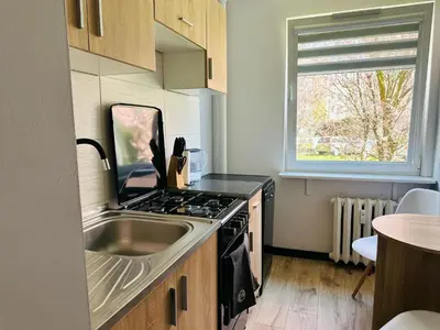 Kuchnia lub aneks kuchenny w obiekcie Apartament pod Książem