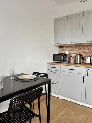 Kuchnia lub aneks kuchenny w obiekcie Apartament Kamionka Piast