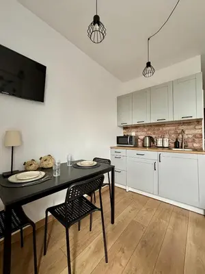 Kuchnia lub aneks kuchenny w obiekcie Apartament Kamionka Piast