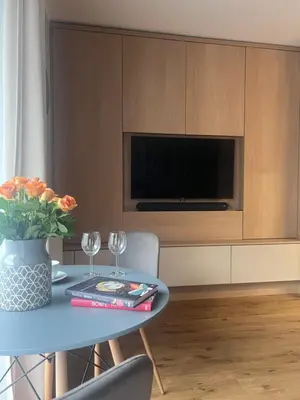 Telewizja i/lub zestaw kina domowego w obiekcie Junior Czysta