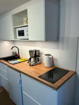 Kuchnia lub aneks kuchenny w obiekcie Apartamenty Toronto