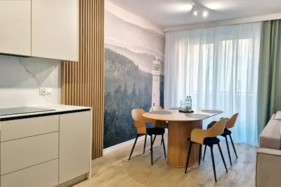 Kuchnia lub aneks kuchenny w obiekcie Apartamenty SOWIE SZCZYTY