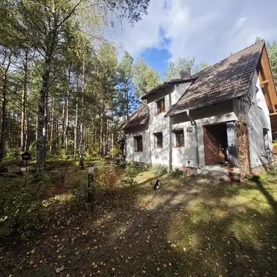 Leśny Relaks