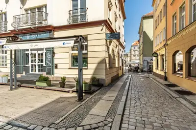Okolica w pobliżu tego apartamentu