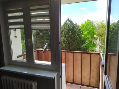Balkon lub taras w obiekcie Apartament Raven