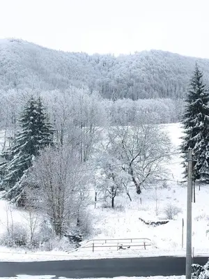 Obiekt Wilcza łapa zimą