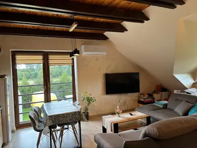 Telewizja i/lub zestaw kina domowego w obiekcie Apartament Natura - Dolina Baryczy