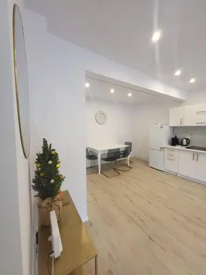 Kuchnia lub aneks kuchenny w obiekcie Apartament Daisy
