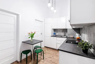 Kuchnia lub aneks kuchenny w obiekcie Delux Apartment Stara Oficyna 10