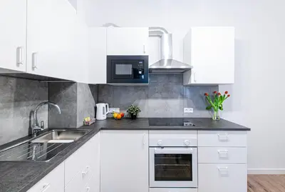 Kuchnia lub aneks kuchenny w obiekcie Delux Apartment Stara Oficyna 10