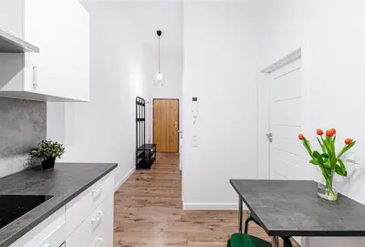 Kuchnia lub aneks kuchenny w obiekcie Delux Apartment Stara Oficyna 10