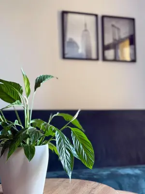 Część wypoczynkowa w obiekcie Legnicka Residence 36