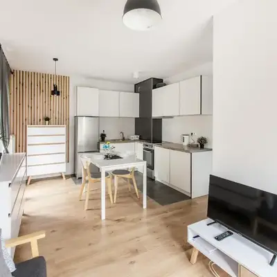 White Apartment With Terrace