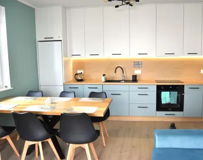 Kuchnia lub aneks kuchenny w obiekcie Apartament Szałwiowa Dolina