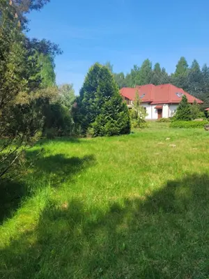 Ogród w obiekcie Bukowinka - dom pod lasem