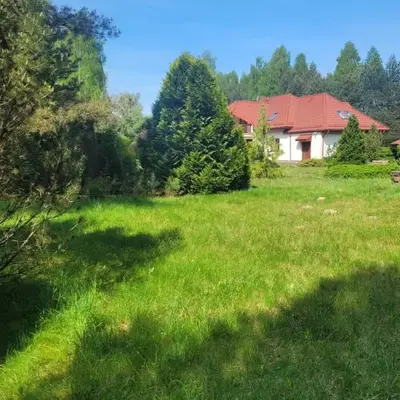 Bukowinka - dom pod lasem