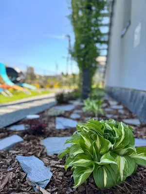 Ogród w obiekcie Apartament na Polnych Domach