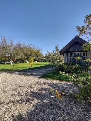 Ogród w obiekcie Agroturystyka Nad Stawami