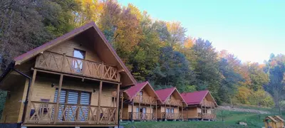 Przyroda w pobliżu tego domu wakacyjnego